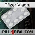 Pfizer Viagra 16